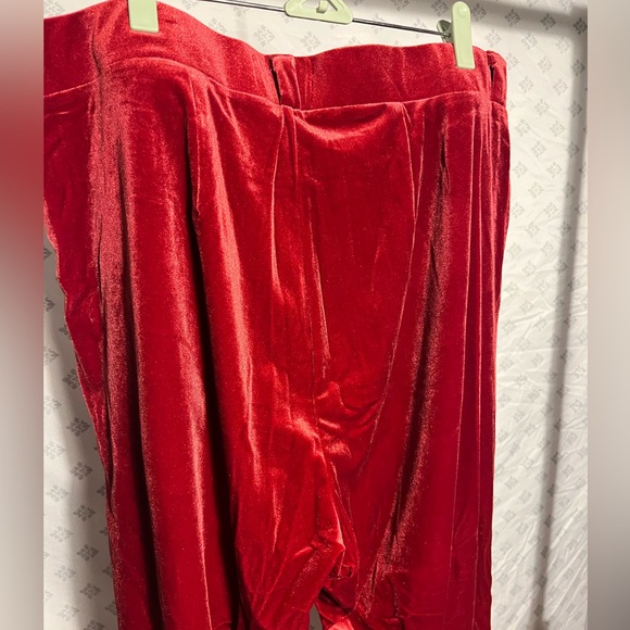Velvet Red Pants - Picture 8 of 14